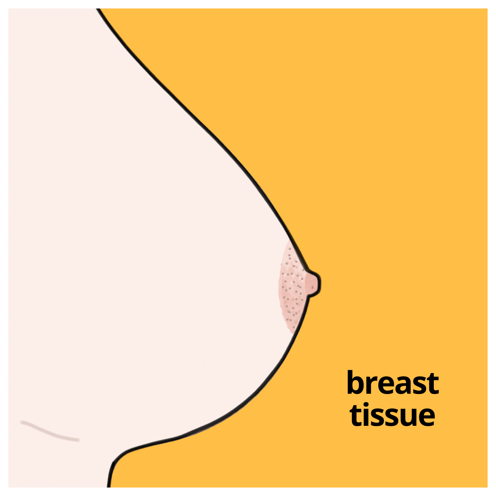 breast tissue